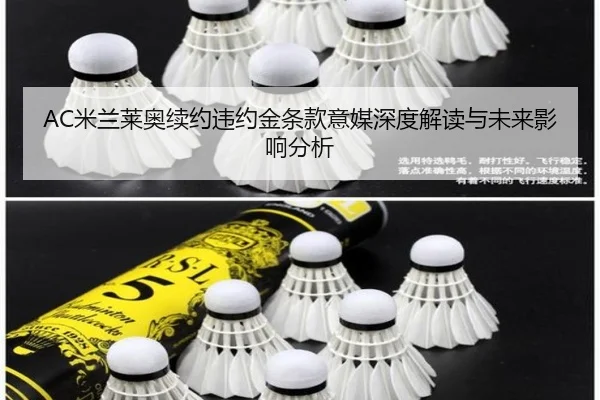 AC米兰莱奥续约违约金条款意媒深度解读与未来影响分析