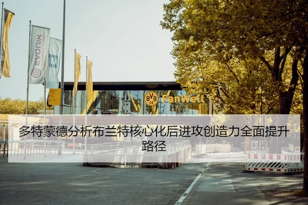 多特蒙德分析布兰特核心化后进攻创造力全面提升路径